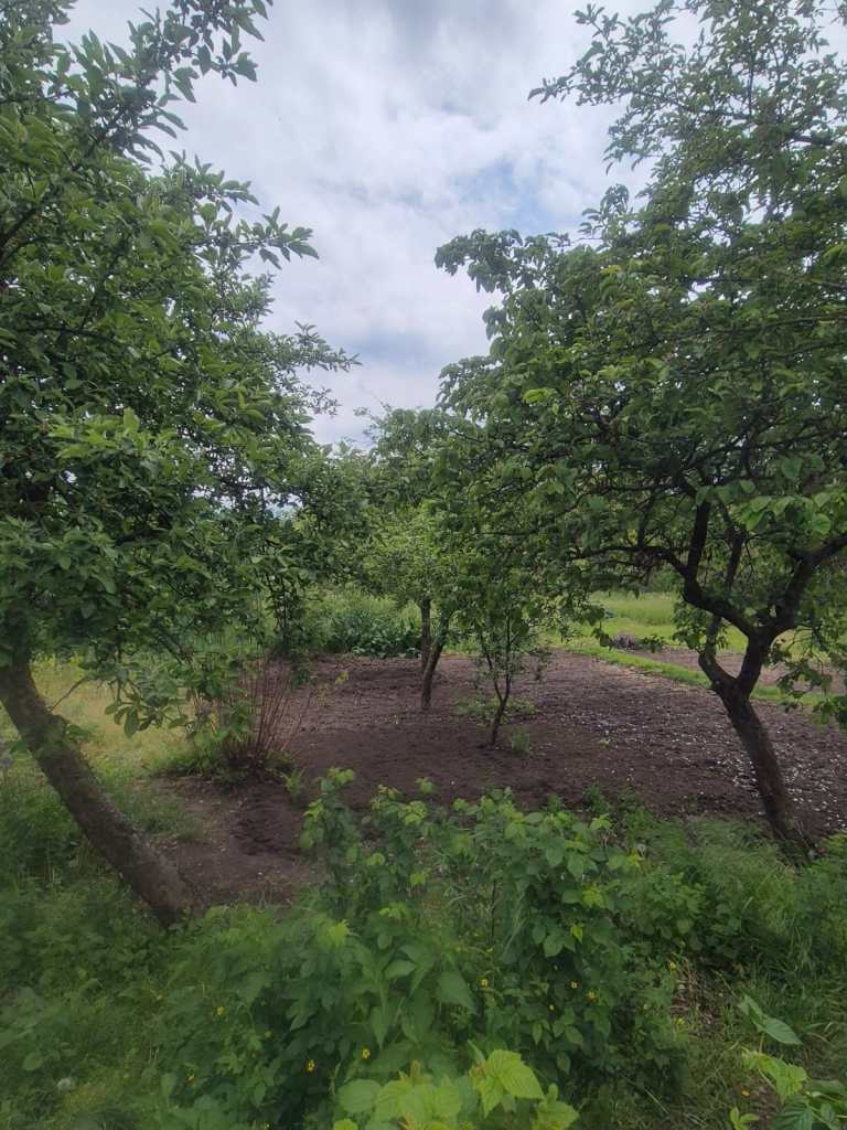 The current image has no alternative text. The file name is: img-20250511-wa0006.jpg